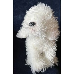 Nat and Jules Bichon Frise Maltese Plush White Puppy Dog 7" Stuffed Animal